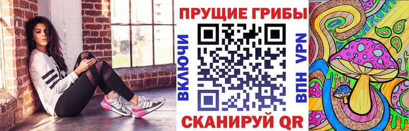 где найти   Гуково  Галлюциногенные грибы Magic Shrooms 